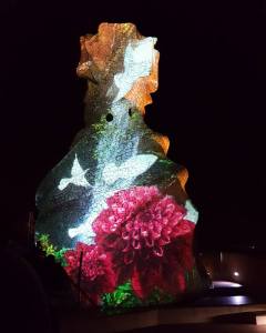 la-pedrera-origins-of-the-species-flower