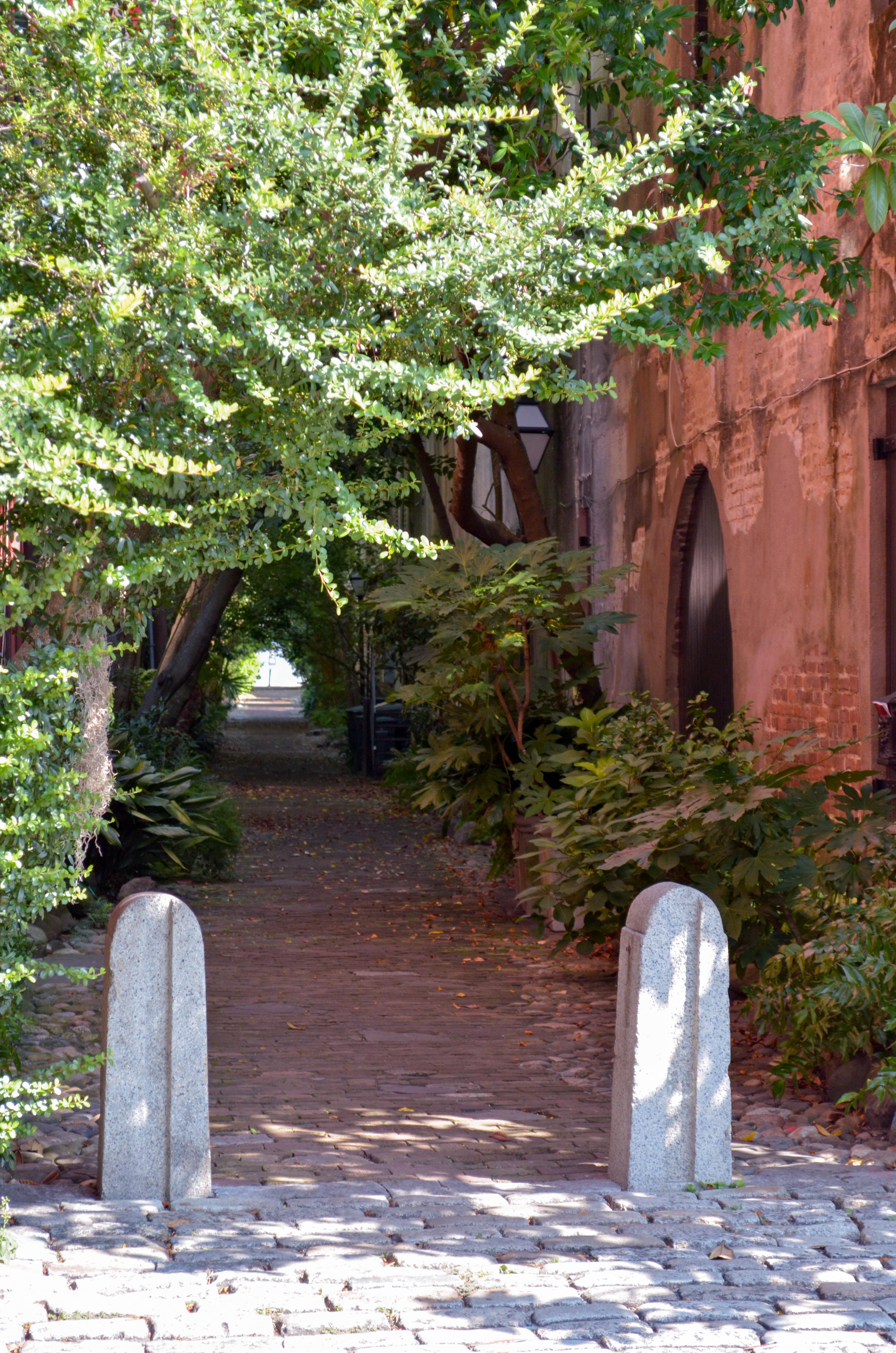 Charleston's Philadelphia Alley